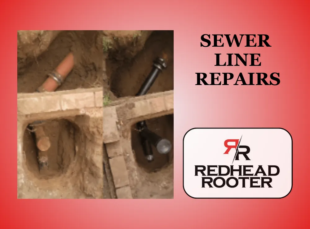 Slide of RedHead Rooter