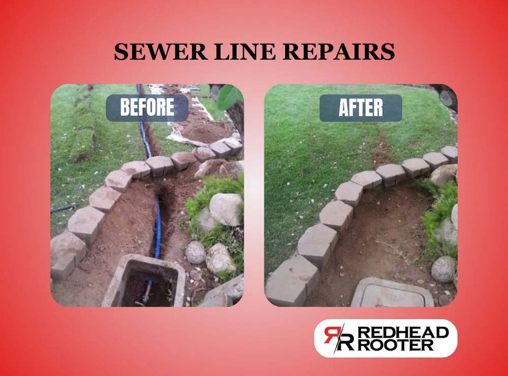 Slide of RedHead Rooter