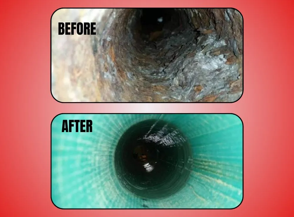 Slide of RedHead Rooter