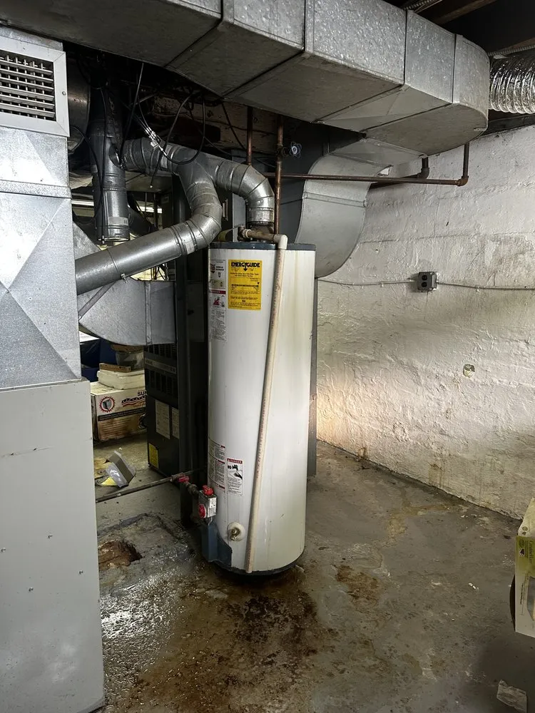 Slide of Redlabel Services