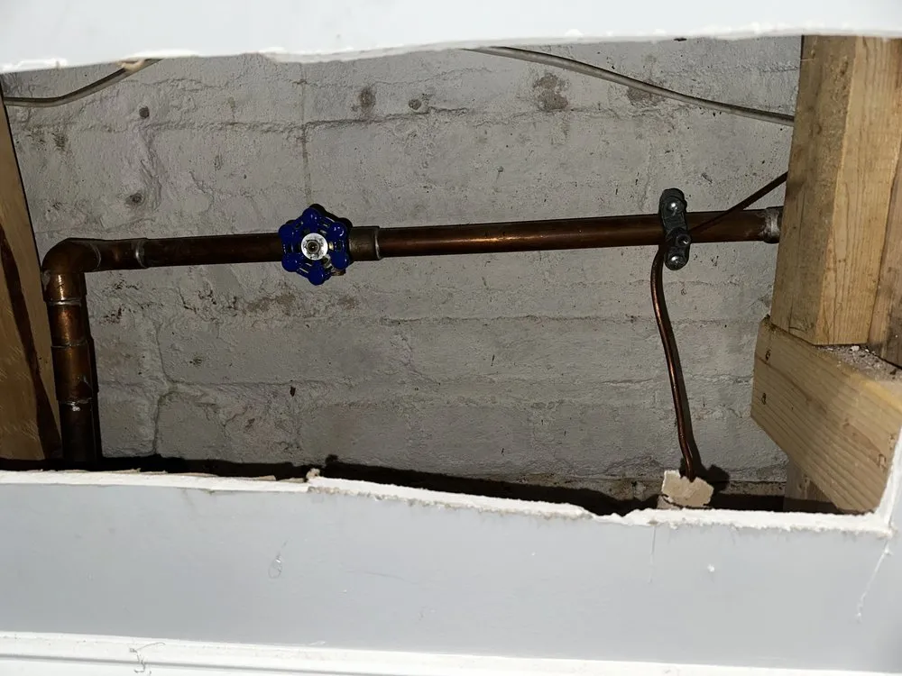 Slide of Redlabel Services