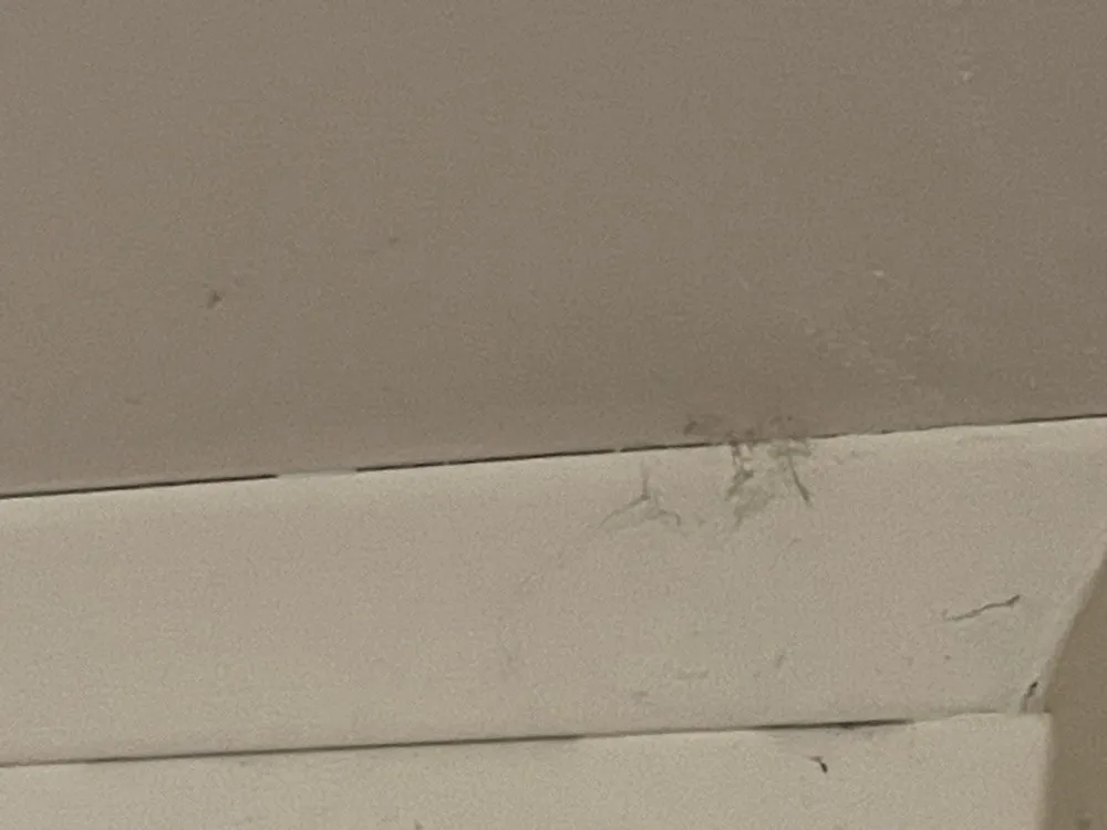 Slide of Redmonds GW