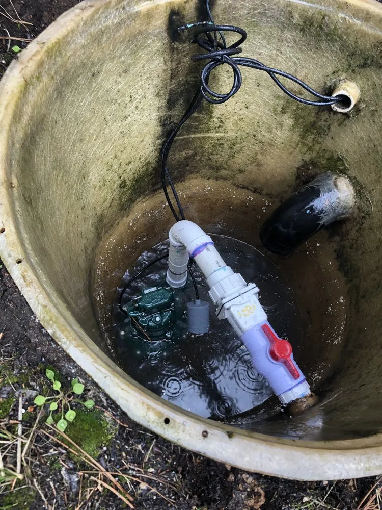 Slide of Reds Plumbing