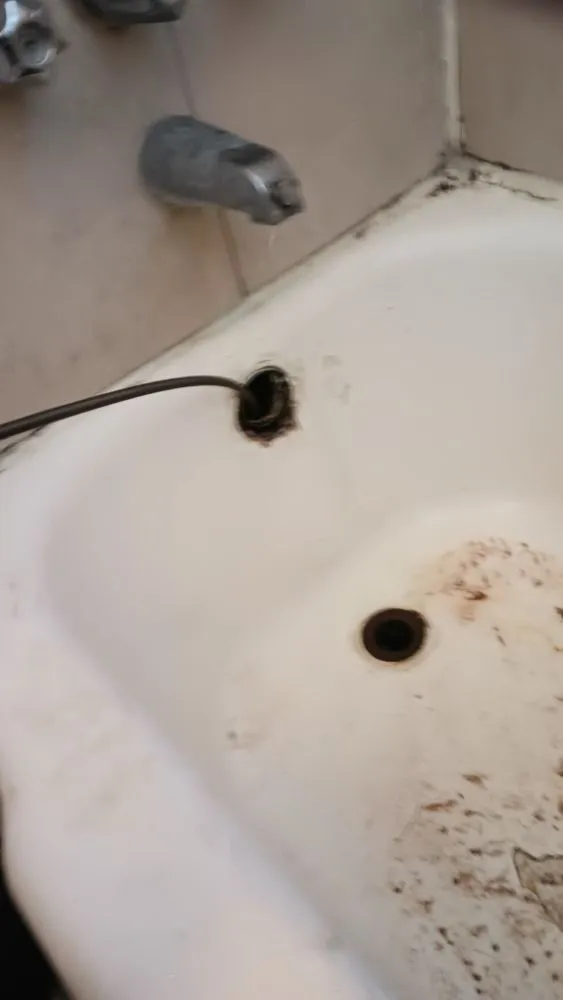 Slide of Reds Rooter