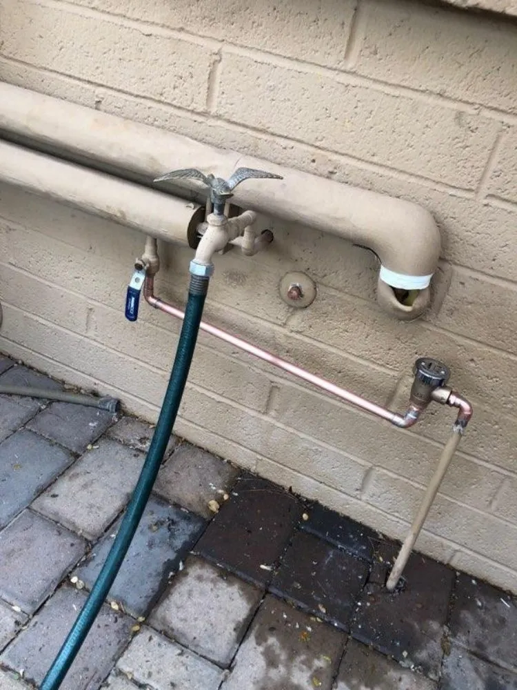 Slide of Reds Rooter