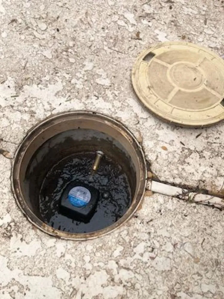 Slide of Reds Rooter