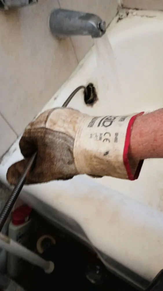 Slide of Reds Rooter