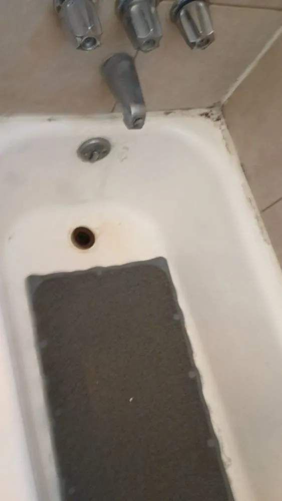 Slide of Reds Rooter