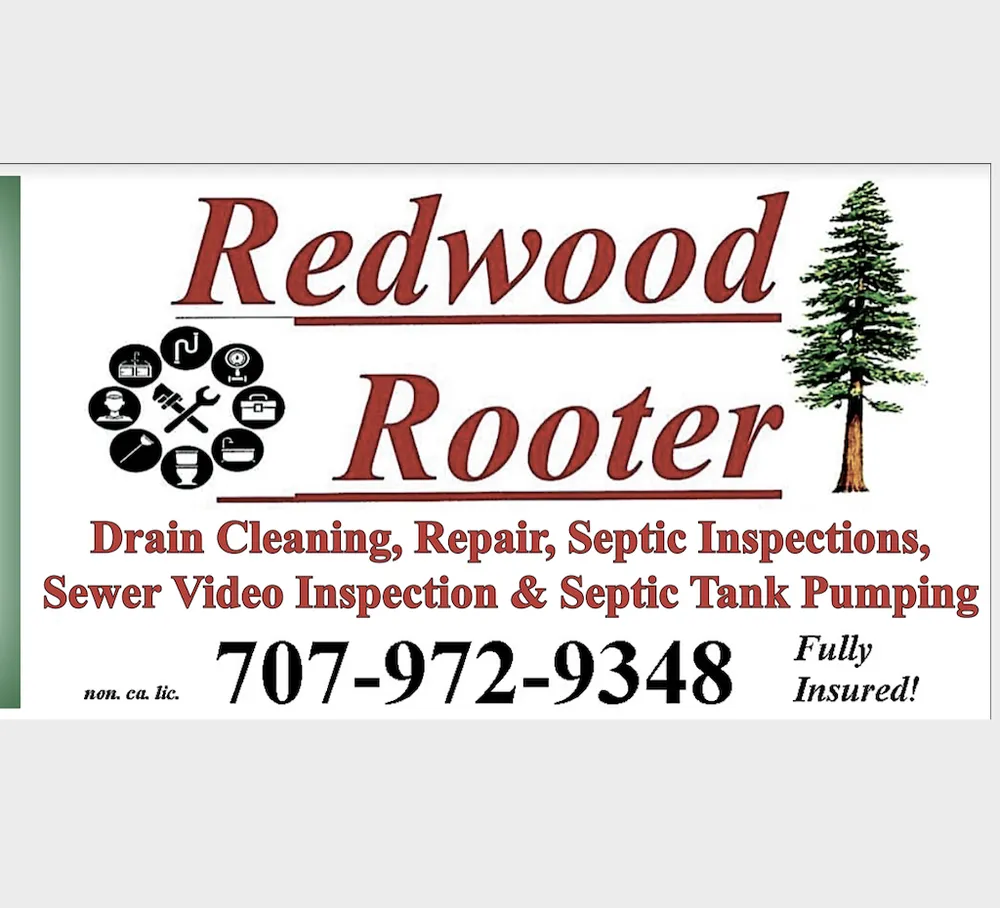 Slide of Redwood Rooter