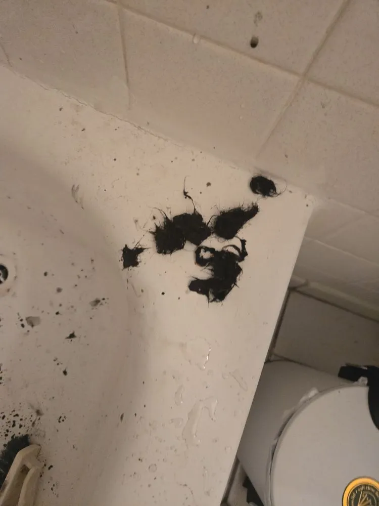 Slide of Redzer Services