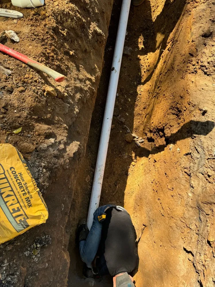 Slide of Reed Services