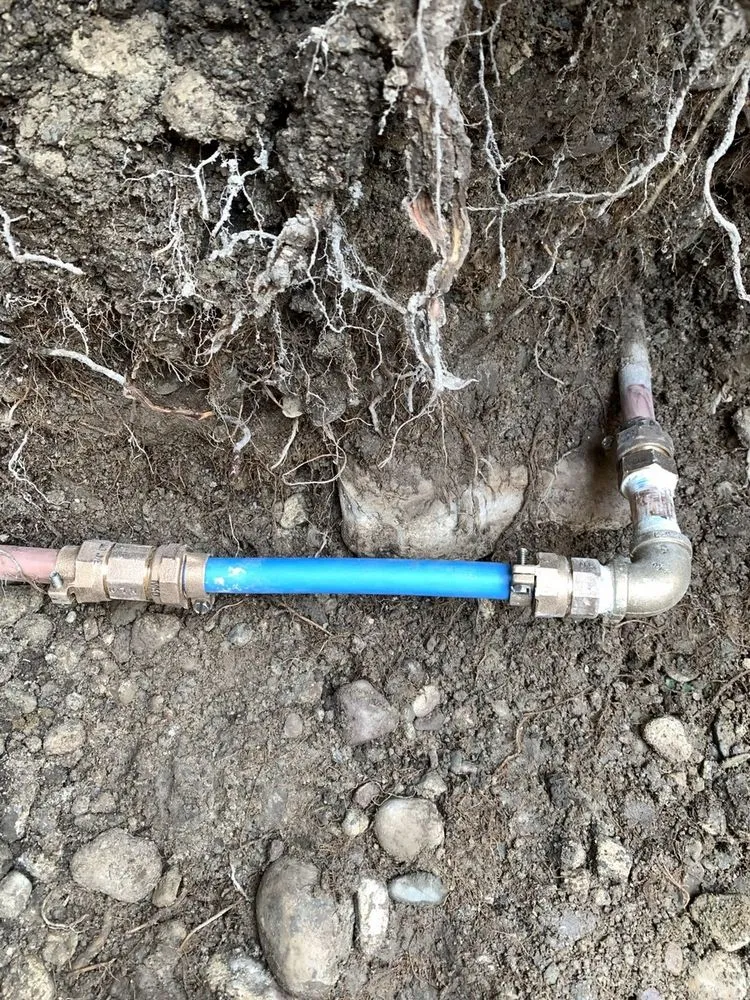 Emergency leak detection service in Pocatello, ID - Reeltek Sewer & Drain Cleaning