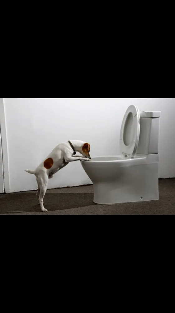 Slide of Reeves Family Plumbing