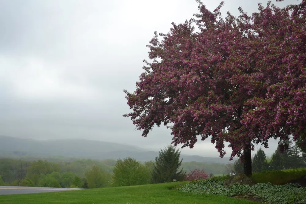 Slide of Regal Plumbing