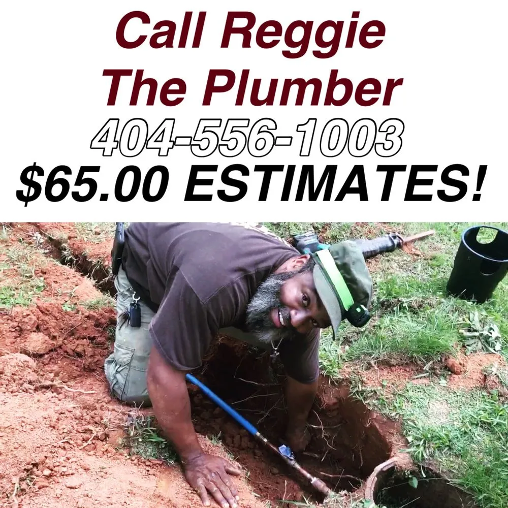 Slide of Reggie The Plumber