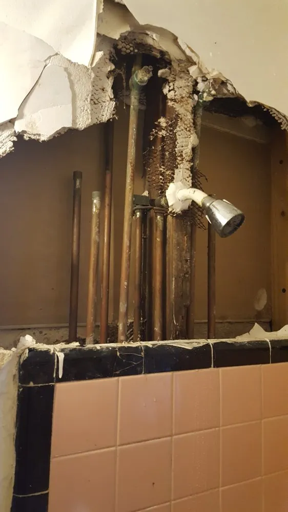 Top-rated emergency plumbing for homes in Hallandale Beach, FL by Reliable Construction and Plumbing