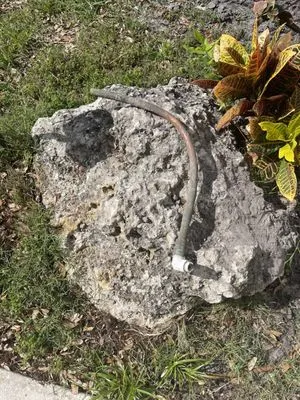 Reliable Plumbing Services Logo