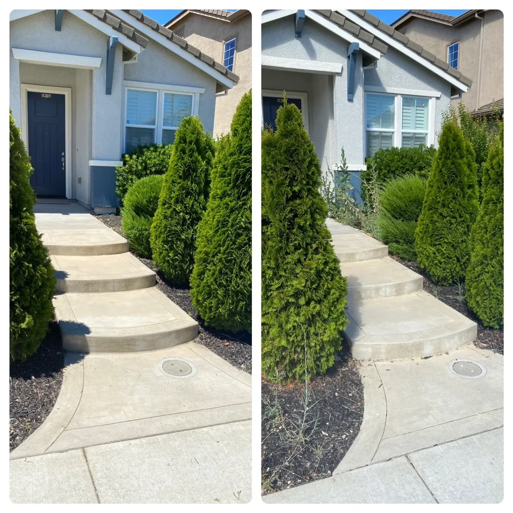 Slide of Rell Bro Pros