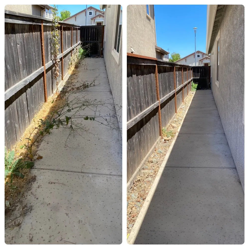 Slide of Rell Bro Pros