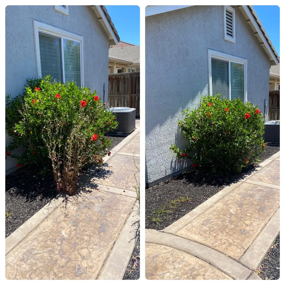 Slide of Rell Bro Pros