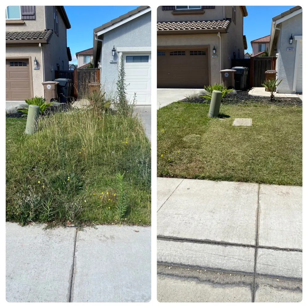 Slide of Rell Bro Pros