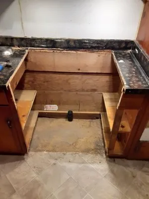 Remedy Maintenance Logo