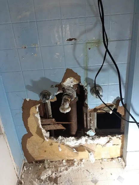 Slide of Remedy Plumber