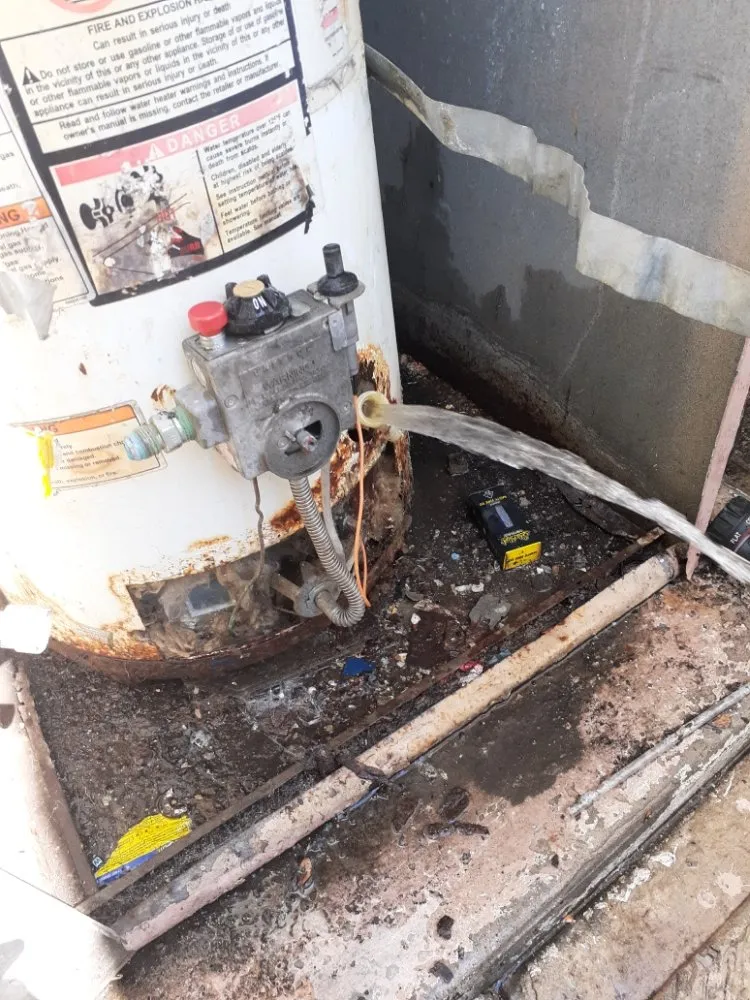 Slide of Remedy Plumber