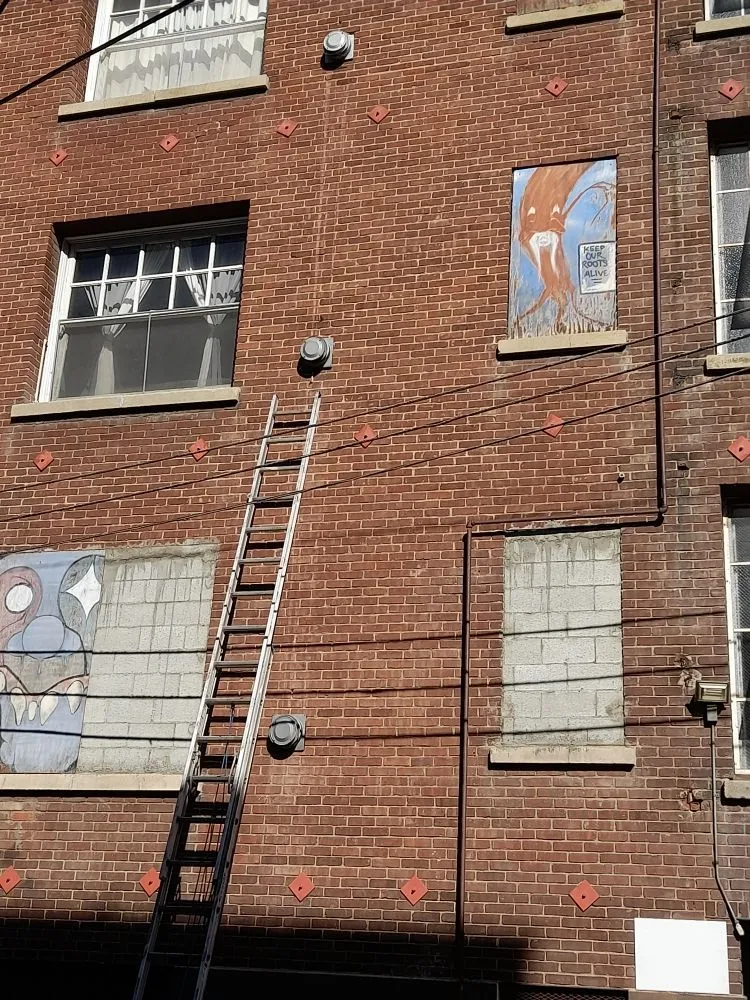 Slide of Remedy Plumber