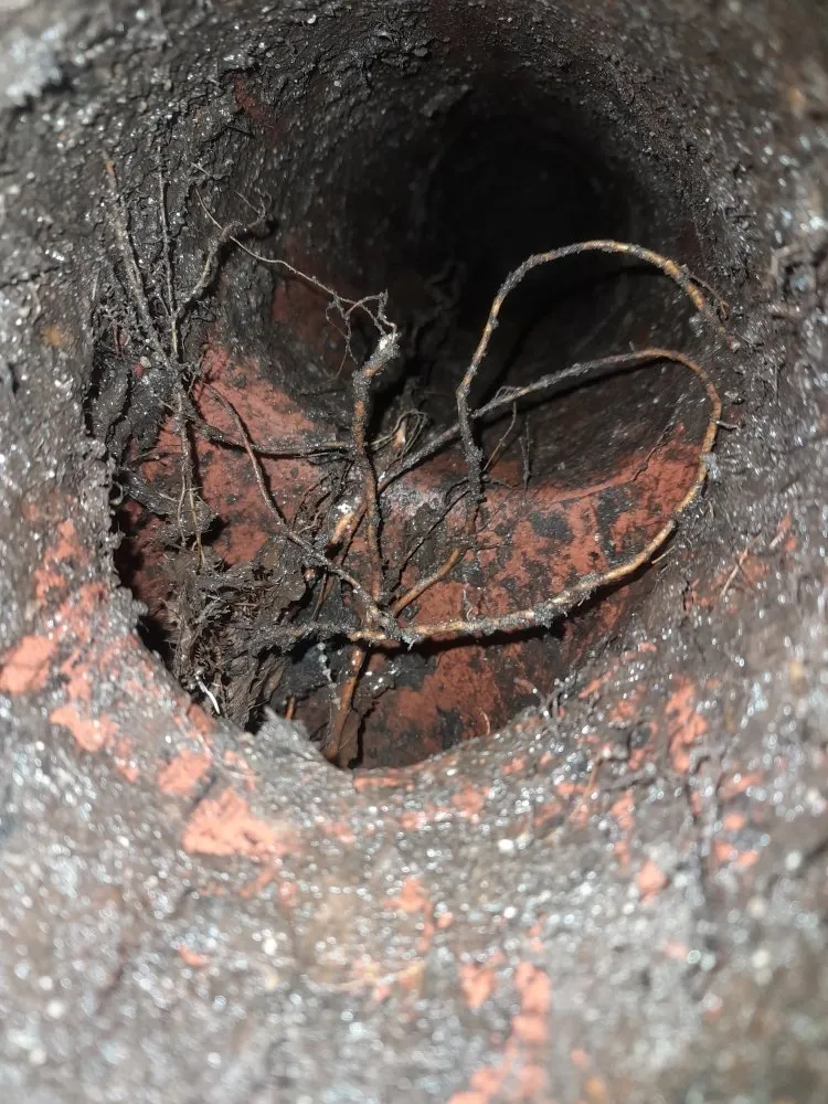 Slide of Remedy Plumber