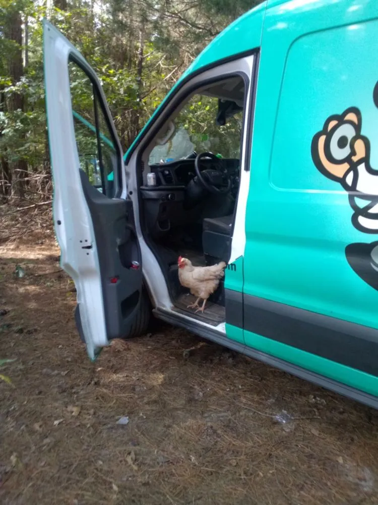 Reliable leak detection for homes in Gainesville, GA by Remedy Plumbing
