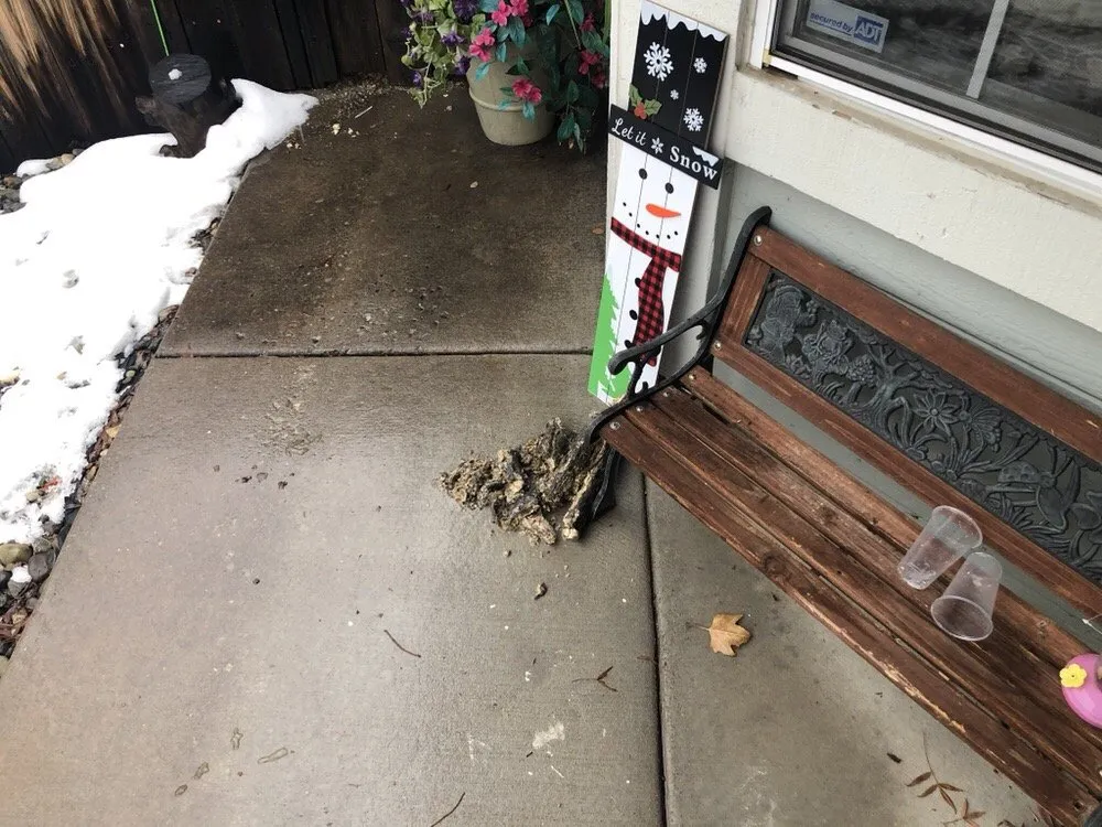 Slide of Remedy Plumbing Service