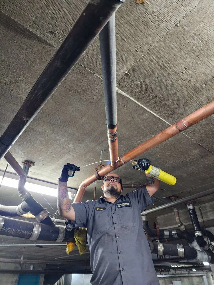 Slide of Remedy Rooter