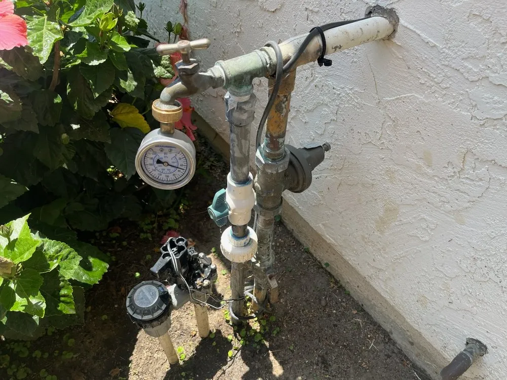 Slide of Remedy Rooter