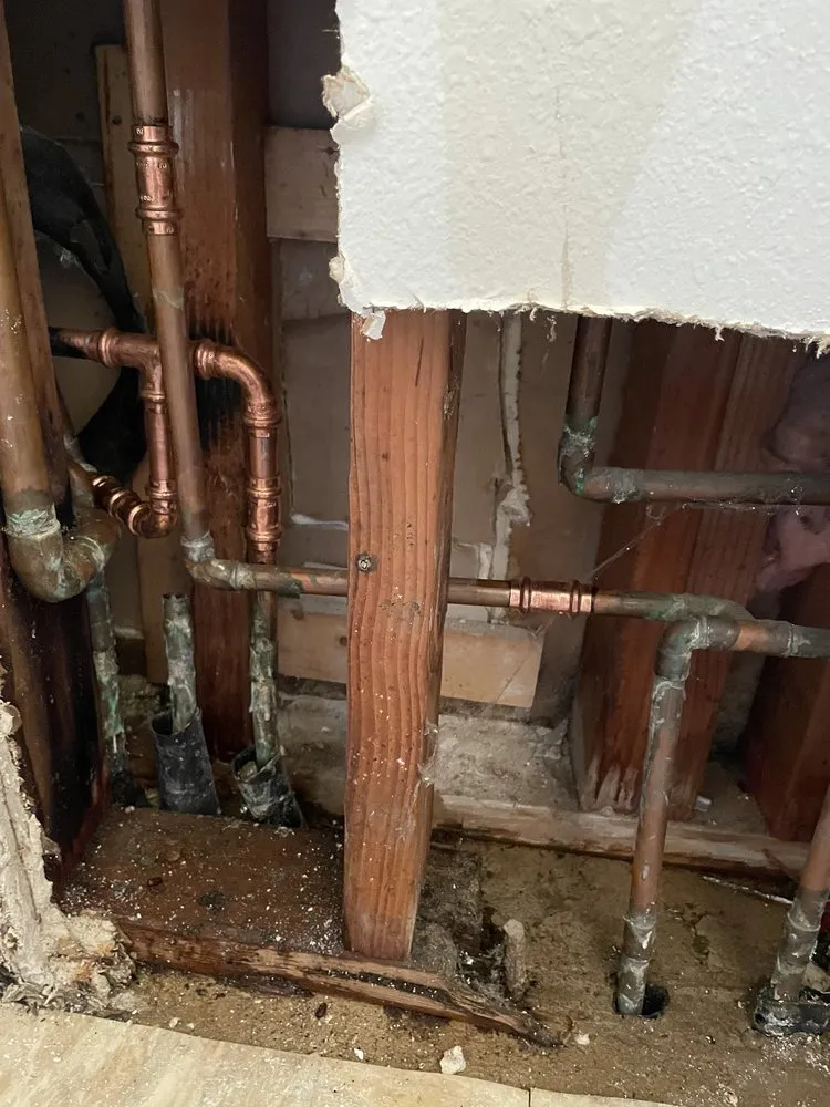 Slide of Remedy Rooter