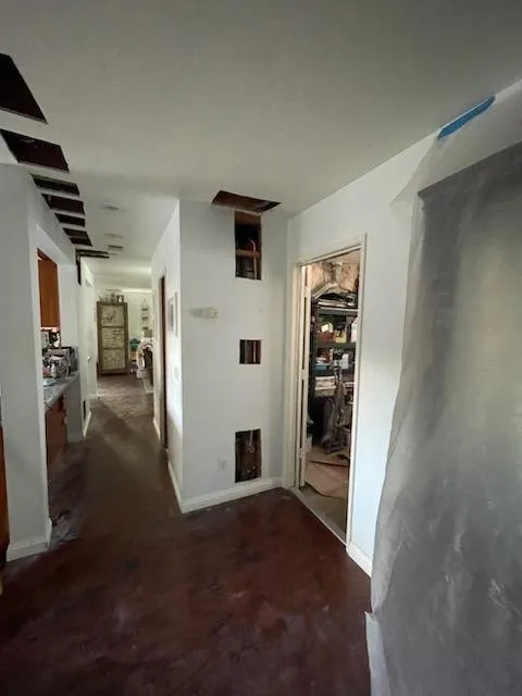 Slide of Remedy Rooter