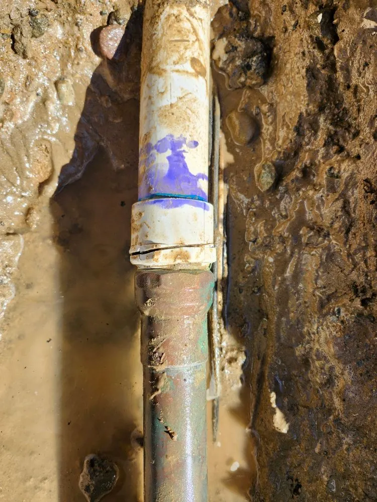 Slide of Remedy Rooter