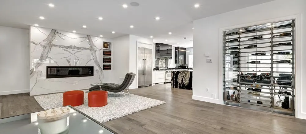 Slide of Remo & Demo Solutions