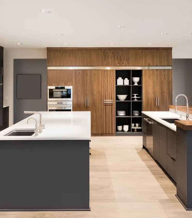 Slide of Remo & Demo Solutions