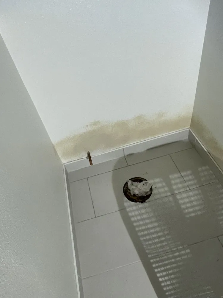 Reliable leak detection in Oceanside, CA by Remodeling Source of San Diego