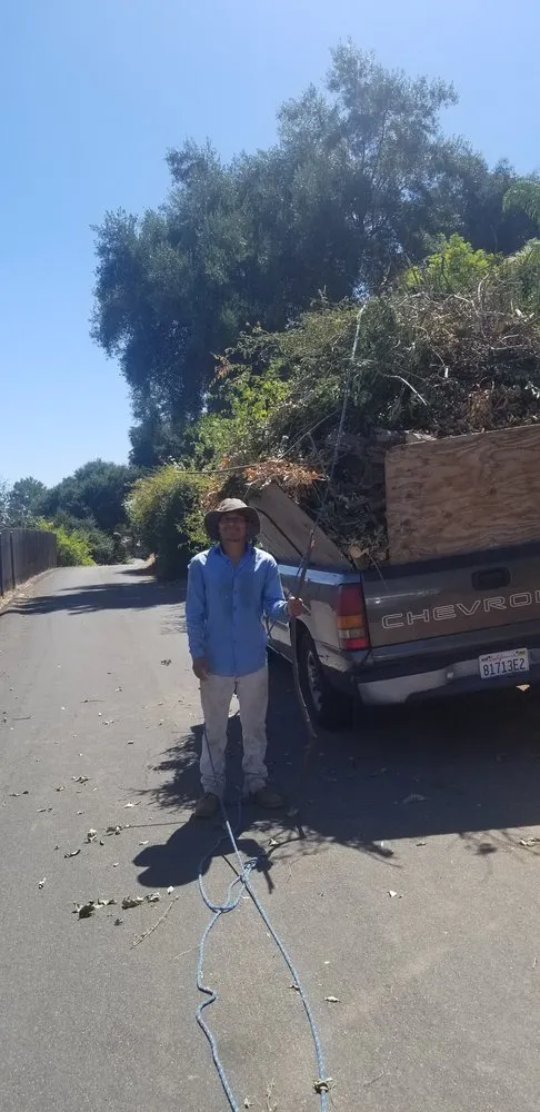 Slide of Rene handyman Construction