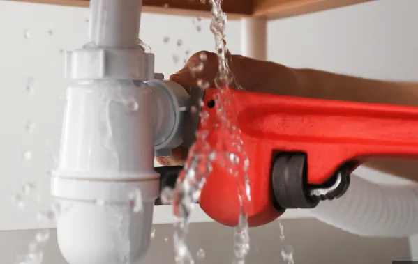 Slide of Renes plumbing