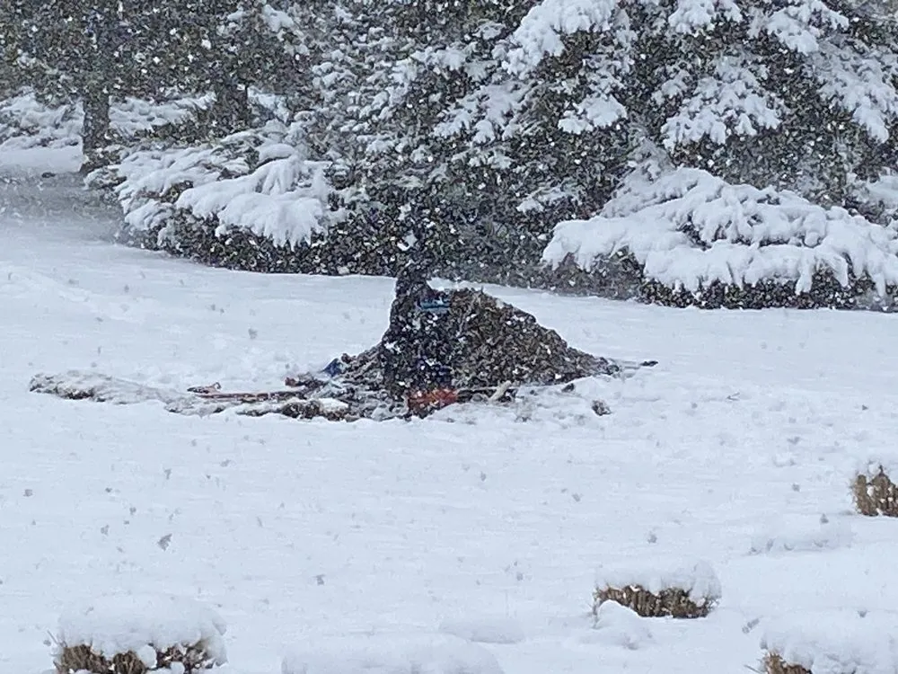 Slide of Renew Plumbing Services