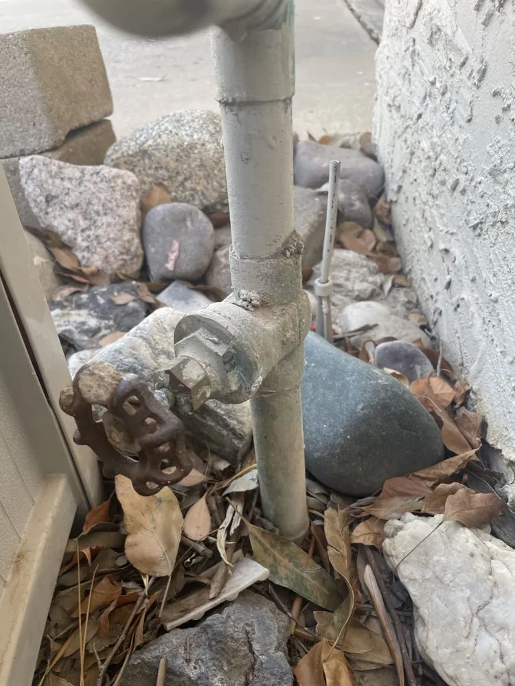 Slide of Reni Rooter