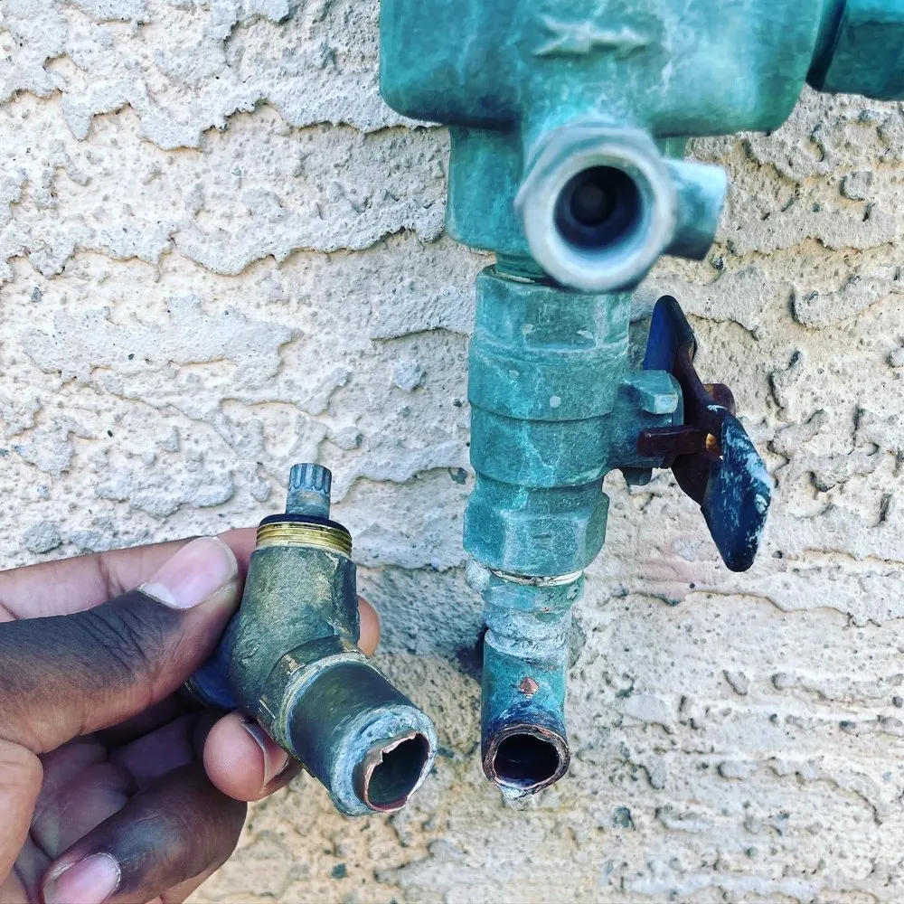 Slide of Reni Rooter