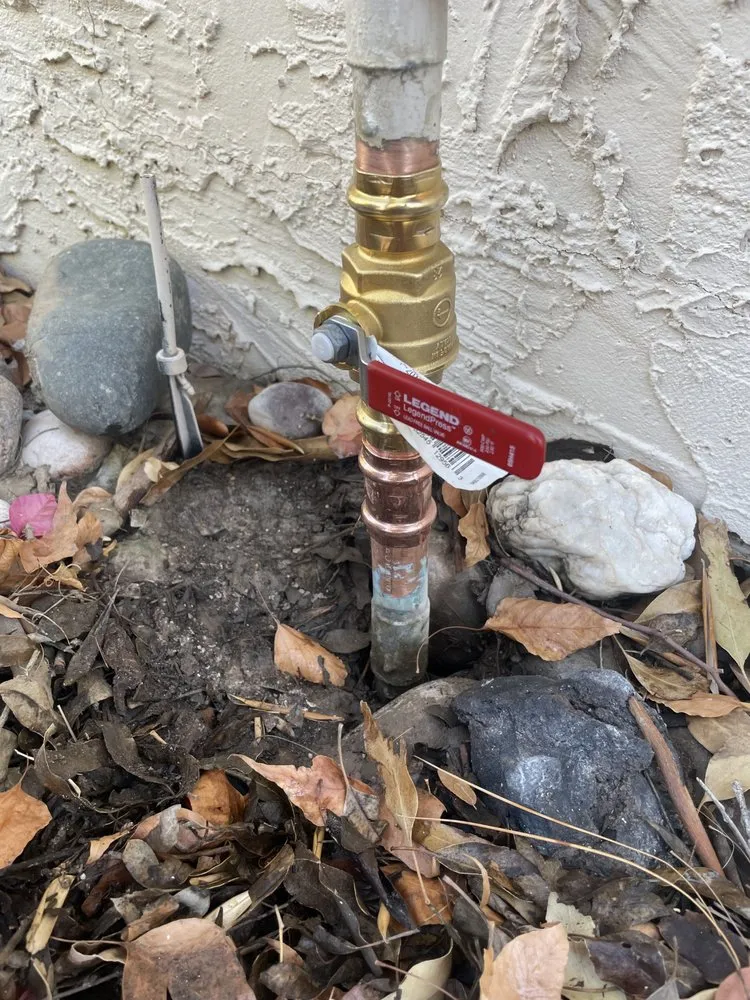 Slide of Reni Rooter