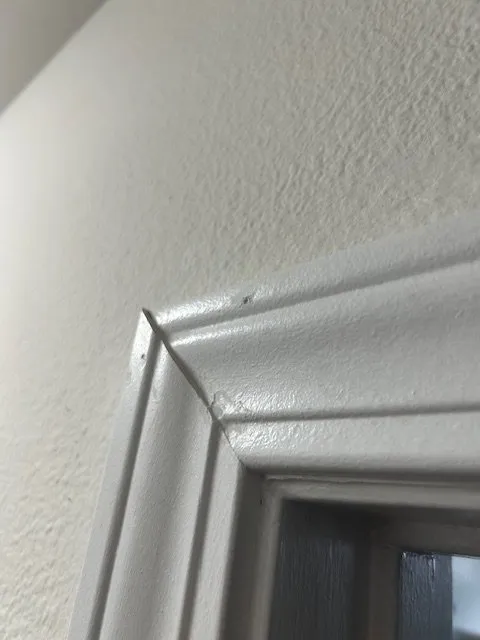 Affordable emergency plumbing experts serving Chula Vista, CA - Repairs and Remodels on Demand