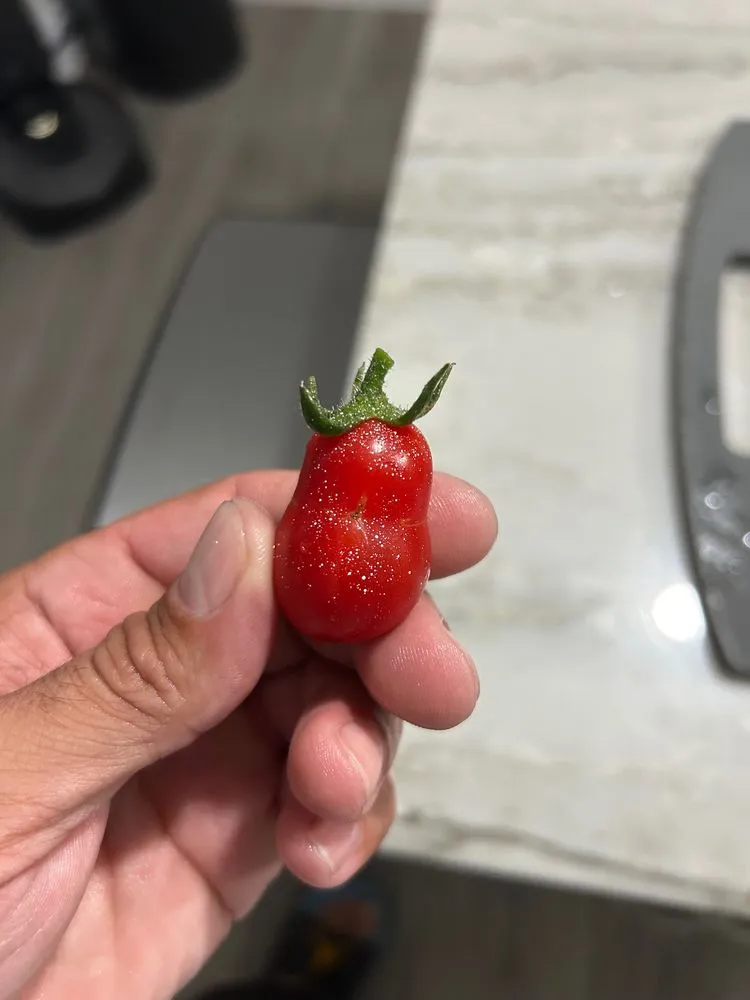 Slide of Repairs and Remodels on Demand