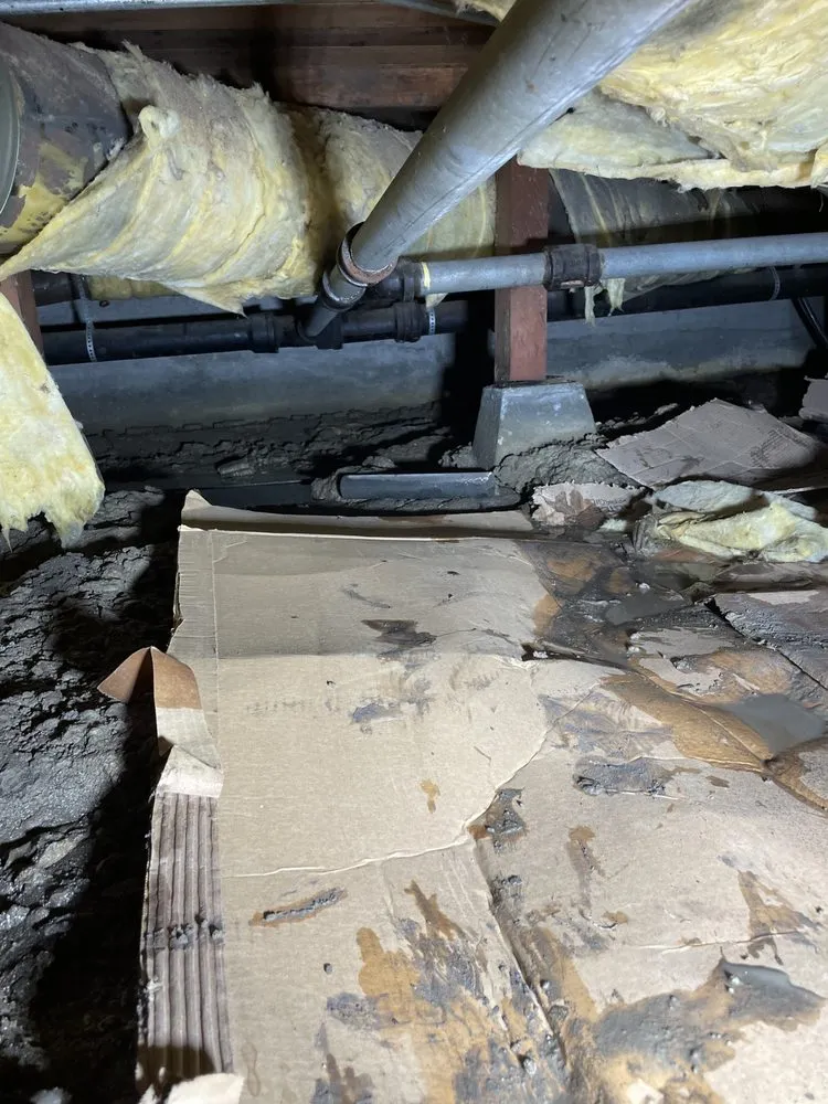 Slide of Repipe Champions Plumbing and Rooter