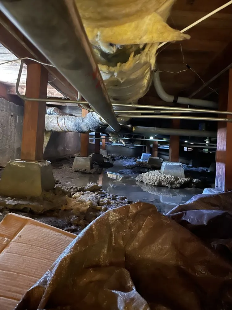 Slide of Repipe Champions Plumbing and Rooter